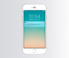 Load image into Gallery viewer, Platinum Worried About Wandering Package